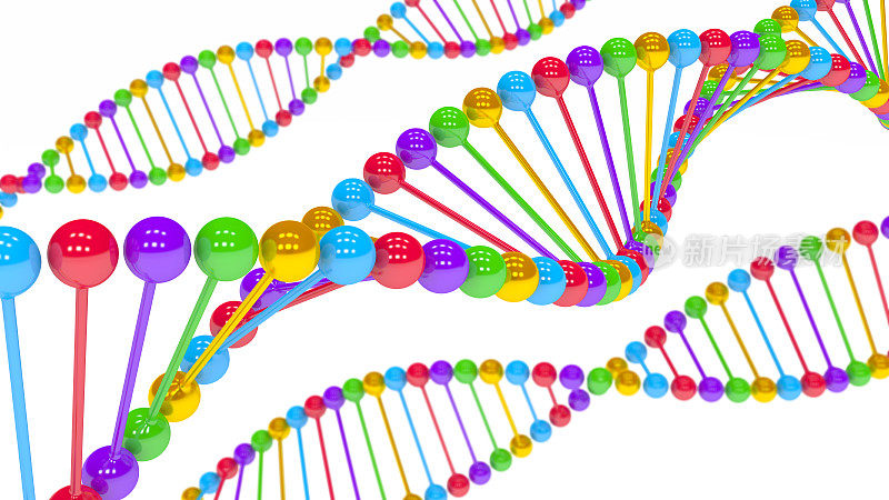 3D DNA颜色序列近距离